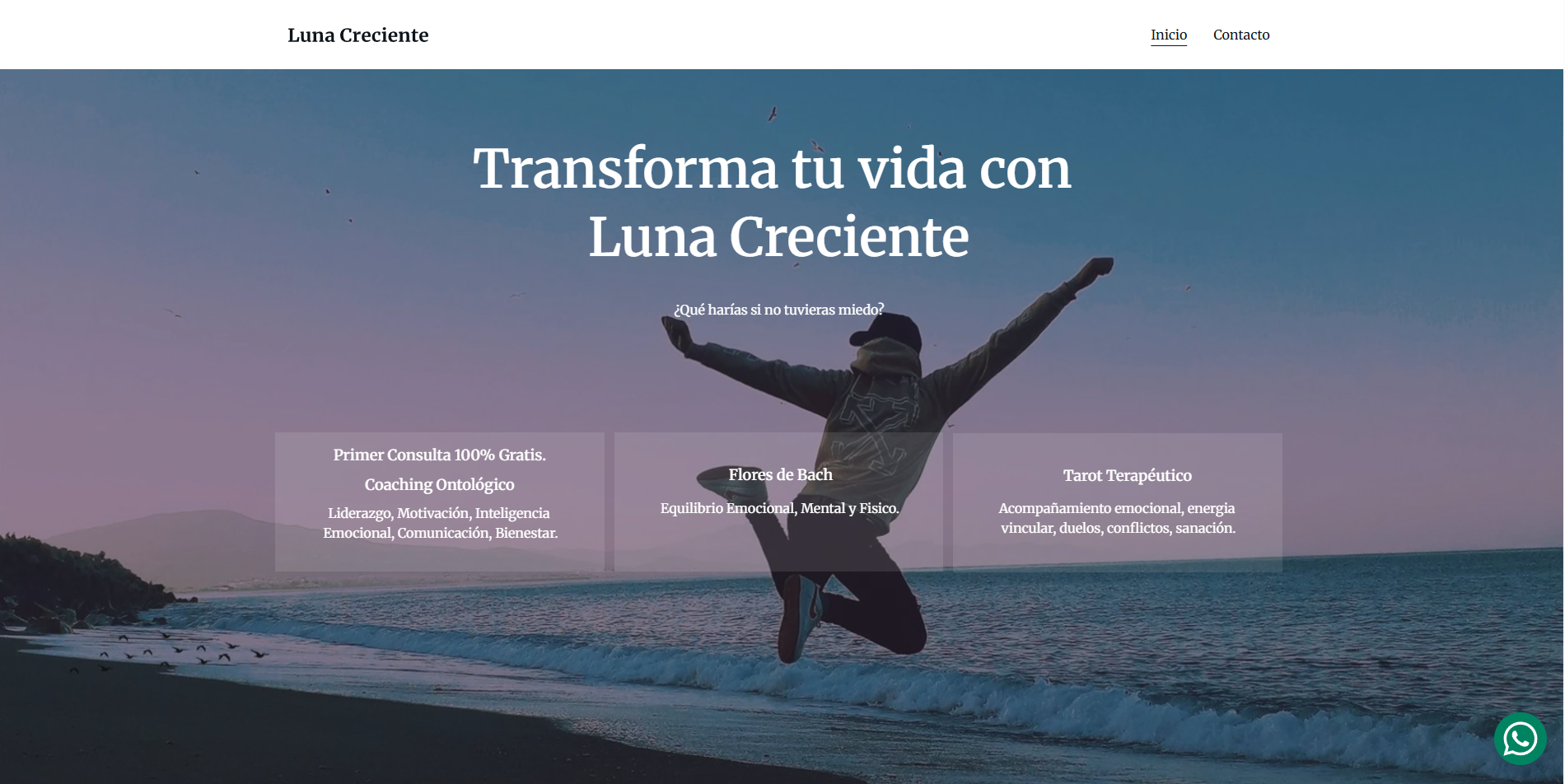 Imagen del Proyecto 1